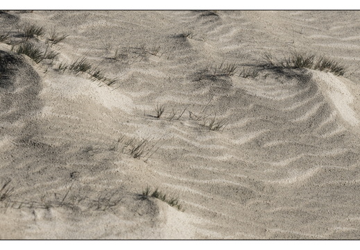 20260207-Kootwijkerzand-107