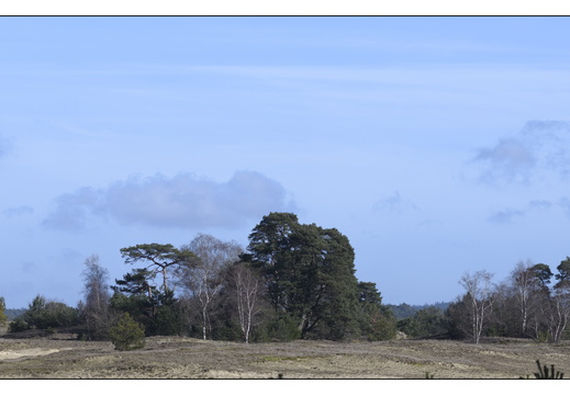 20260207-Kootwijkerzand-110