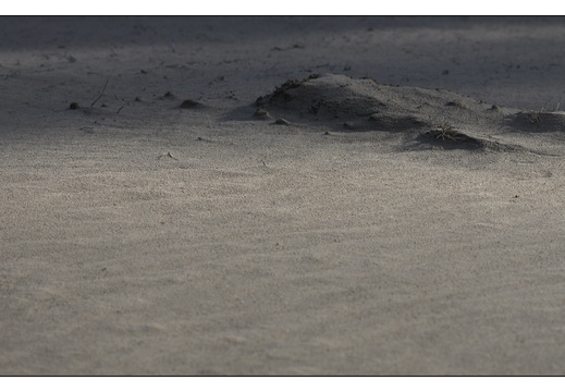 20260207-Kootwijkerzand-111