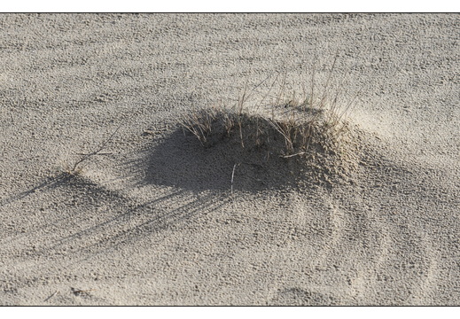 20260207-Kootwijkerzand-112