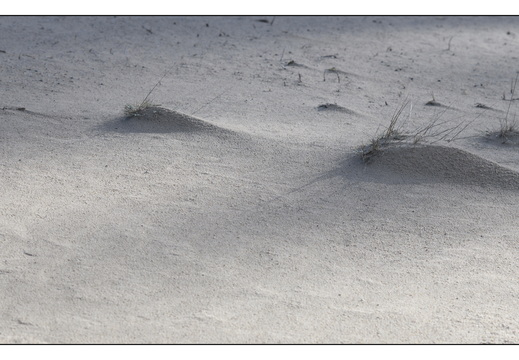 20260207-Kootwijkerzand-113