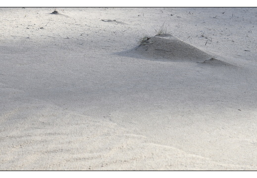 20260207-Kootwijkerzand-114