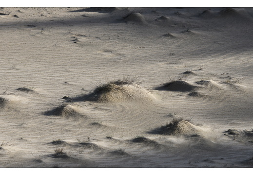 20260207-Kootwijkerzand-116