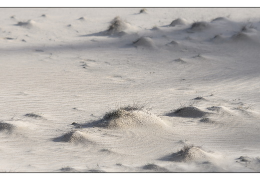 20260207-Kootwijkerzand-117