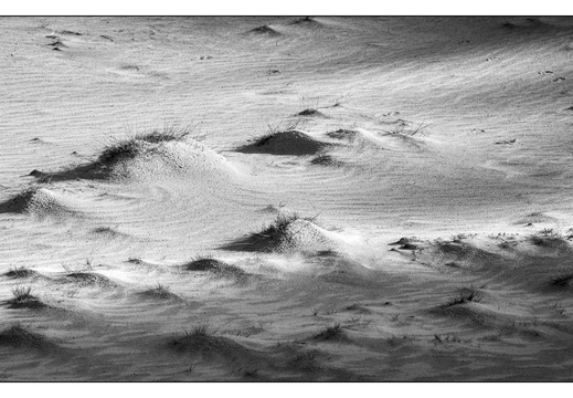 20260207-Kootwijkerzand-118