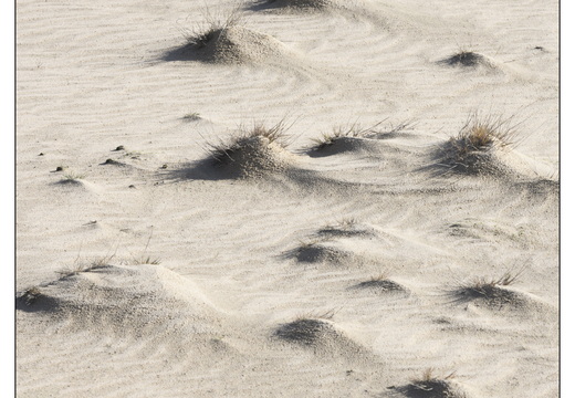 20260207-Kootwijkerzand-119