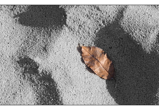 20260207-Kootwijkerzand-121