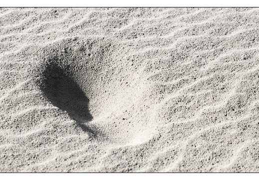 20260207-Kootwijkerzand-124