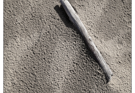 20260207-Kootwijkerzand-125