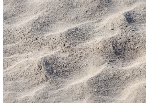 20260207-Kootwijkerzand-126