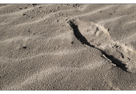 20260207-Kootwijkerzand-127