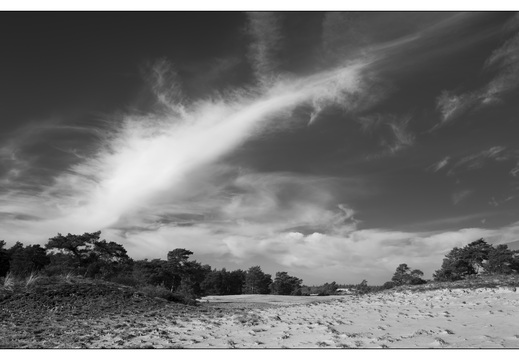 20260207-Kootwijkerzand-133