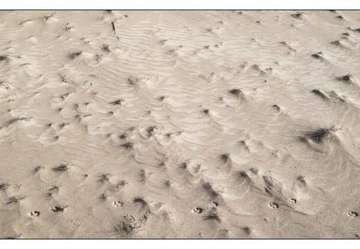 20260207-Kootwijkerzand-134