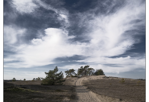 20260207-Kootwijkerzand-135