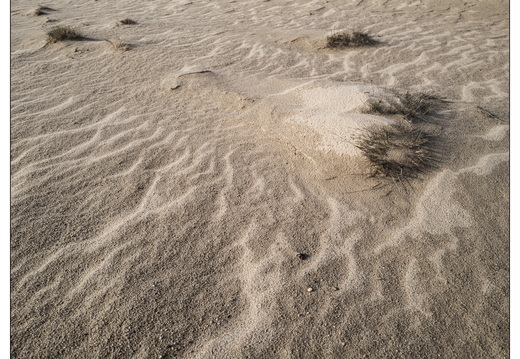 20260207-Kootwijkerzand-141