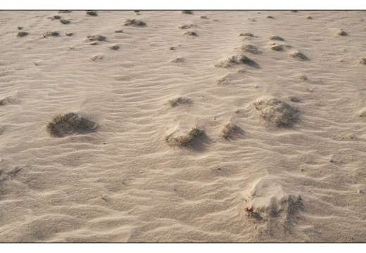 20260207-Kootwijkerzand-142