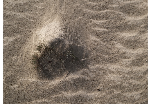 20260207-Kootwijkerzand-143