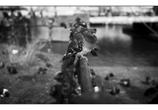 20260314-Amsterdam-161