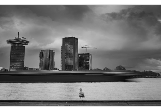 20260314-Amsterdam-314