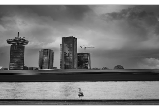 20260314-Amsterdam-315