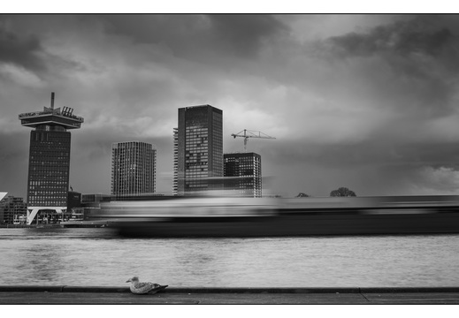 20260314-Amsterdam-317