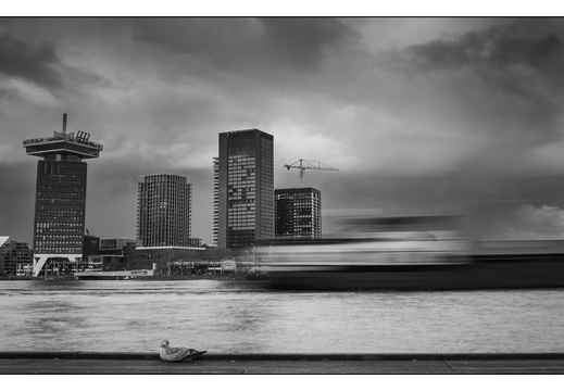 20260314-Amsterdam-318