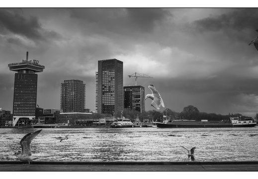 20260314-Amsterdam-320