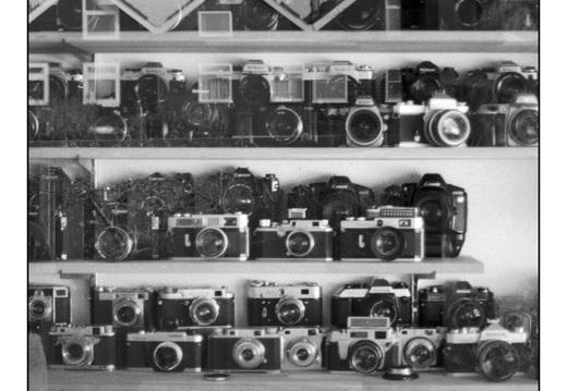 20260318-Dynax9-85mm-Delta400-107