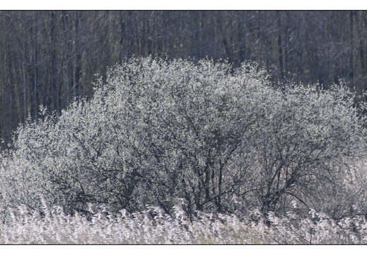 20260328-RondjeFriesland-104