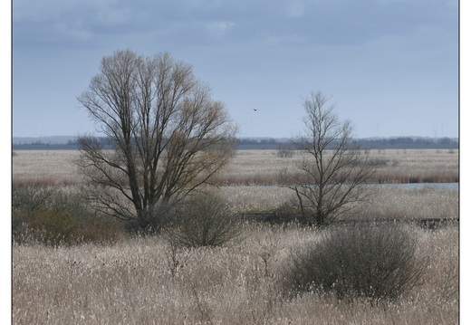 20260328-RondjeFriesland-105