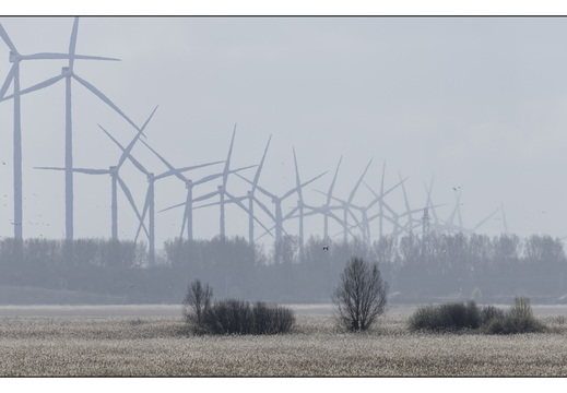 20260328-RondjeFriesland-106