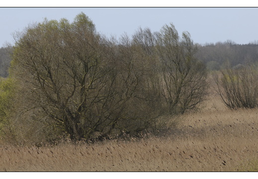 20260328-RondjeFriesland-107