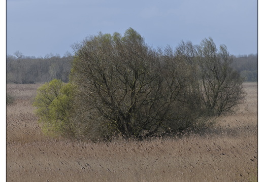 20260328-RondjeFriesland-108