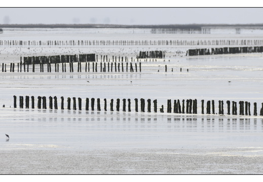 20260328-RondjeFriesland-109