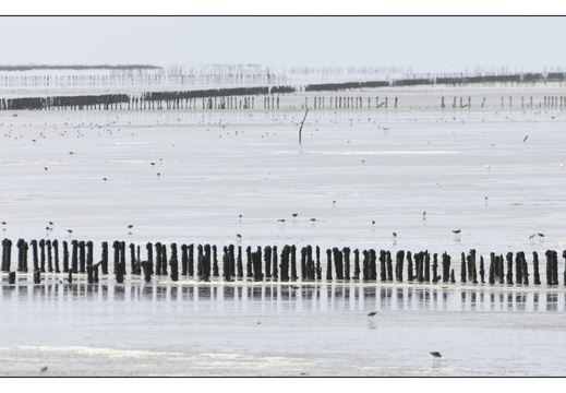 20260328-RondjeFriesland-110