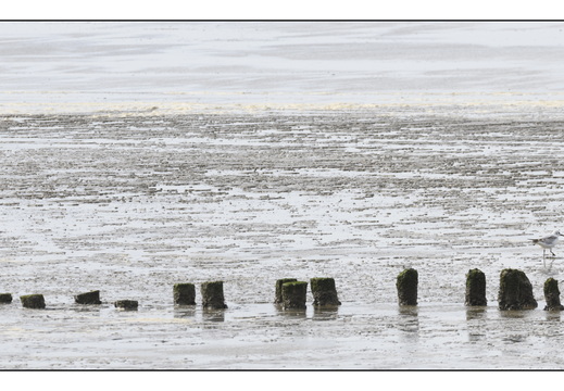 20260328-RondjeFriesland-111