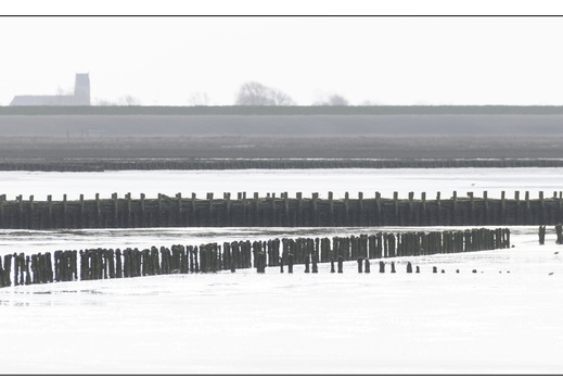 20260328-RondjeFriesland-114