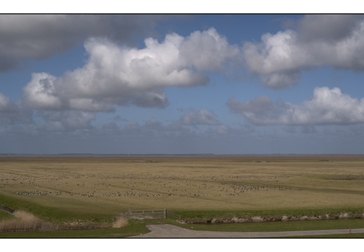 20260328-RondjeFriesland-119