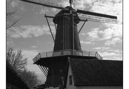 20260418-20260418-Leica-R7-35mm-PanF-105