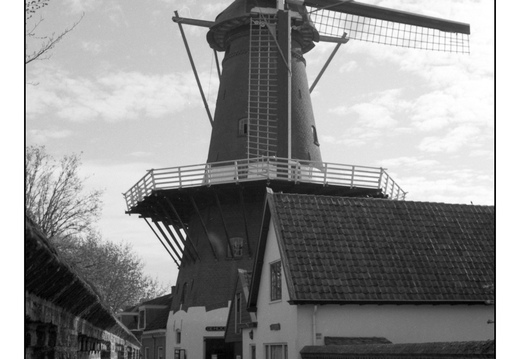 20260418-20260418-Leica-R7-35mm-PanF-108