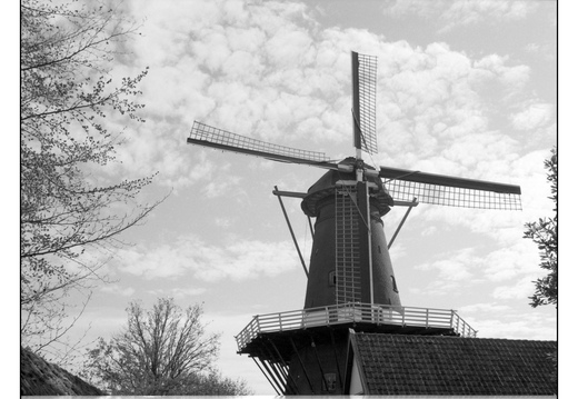 20260418-20260418-Leica-R7-35mm-PanF-111